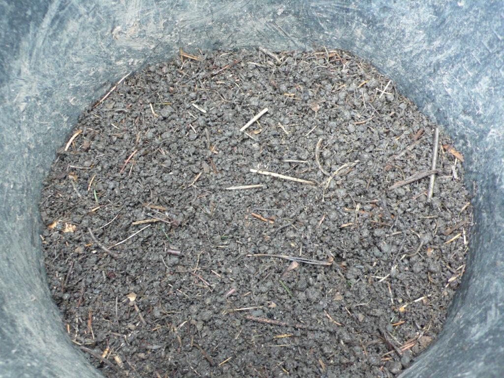 Gesiebter Kompost für die Anzuchterde