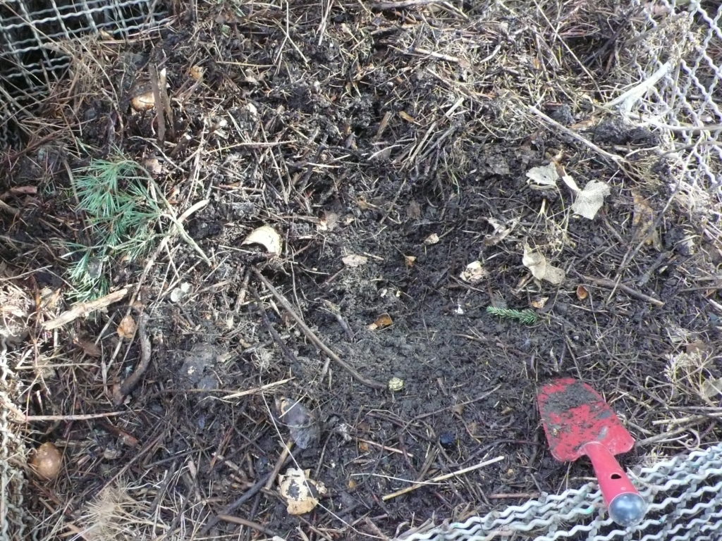 In der Mitte sieht man reifen Kompost unter der oberen Schicht